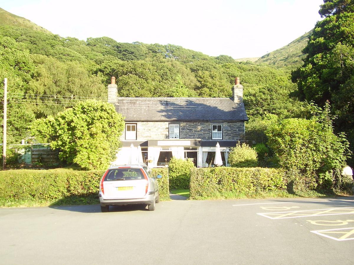 多尔格施住宿加早餐旅馆 Bryn-crug 外观 照片