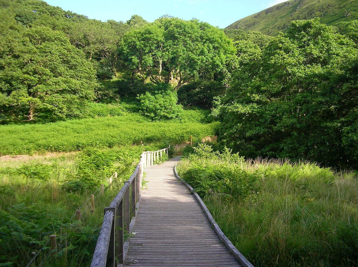 多尔格施住宿加早餐旅馆 Bryn-crug 外观 照片